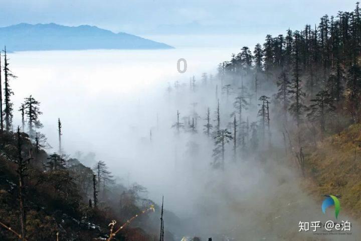 探索发现-撒哈拉大沙漠的沙尘暴横跨大西洋,会吹到美国和亚马逊雨林吗?吉鹿力问答社区